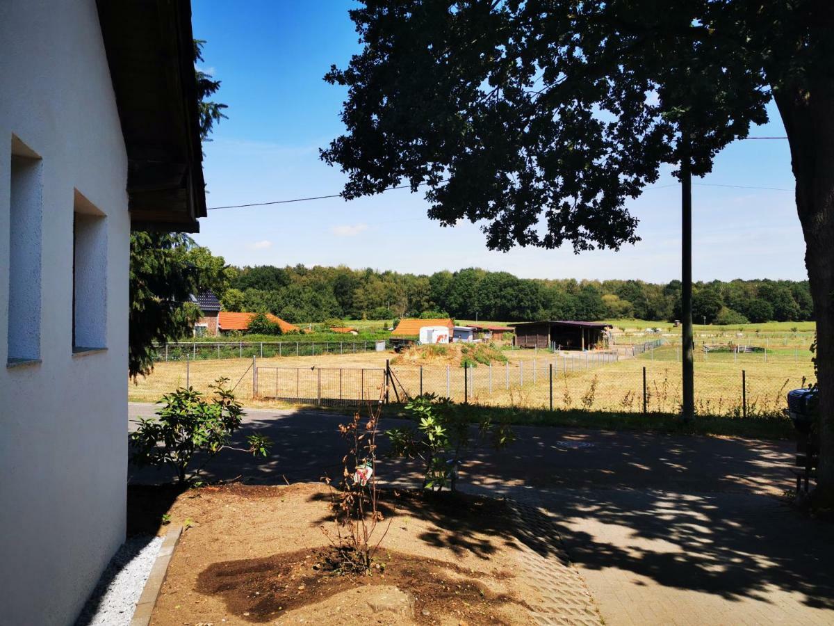 Ferienhaus Oebel In Brueggen 브뤼겐 외부 사진